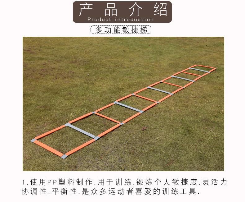 790_02.jpg