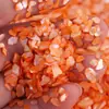 TikTok Nuevo Parquet Natural Concha Celebridad de Internet Irregular Piezas de Arte de Uñas Color Relleno Decorativo Accesorios DIY