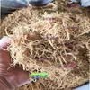 Raíz de Ginseng, Materiales Medicinales Chinos, Fragmentos de Ginseng, Molido y Alimentado, Ginseng Triturado, Tiras de Ginseng, Raíz de Ginseng, Raíz de Ginseng Blanco de la Montaña Changbai