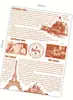 Papel Desechable para Hamburguesas, Papel Resistente a la Grasa, Papel para Rollos de Pollo, Papel tipo Periódico para Sándwiches, Papel Inglés, Papel para Bolas de Arroz con Algas, Papel para Hamburguesas de Res