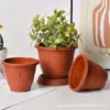 Macetas de Plástico Espesado, Phalaenopsis Estilo Pastoral, Árbol del Dinero, Plantas Verdes, Plantación de Plántulas Espesadas Plantas Verdes, Macetas de Plástico