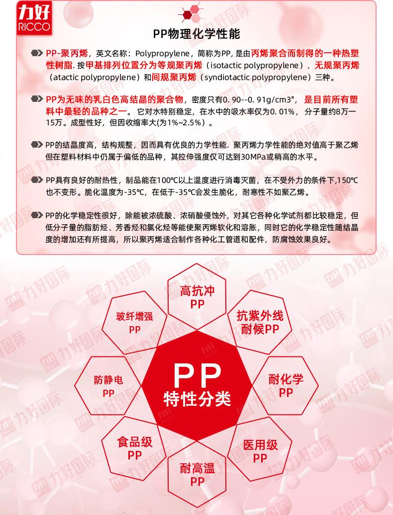 pp_02.jpg