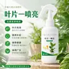 Spray Clareador de Folhas para Brilho da Superfície das Folhas, Solução Nutritiva, Limpeza, Polimento, Revitalização, Não Danifica as Folhas, Spray para Cuidado de Plantas de Interior