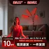 Trípode de Piso Lámpara de Fisioterapia de Alta Potencia con 4 Cabezales Lámpara de Luz Roja Lámpara de Tratamiento Temporizado 660Nm850Nm Lámpara de Terapia de Luz Roja