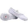 Zapatos de Baile Suela Blanda Práctica Adulto Niños Hombres Danza Garra de Gato Hombres Niños Negros Zapatos de Ballet para Mujer