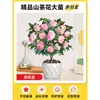 Plántulas de Camelia Xiangfei en Maceta con Capullos Sala de Estar Interior Balcón Plantas Verdes Florales Florecen en Todas las Estaciones Fácil de Mantener para Personas Perezosas