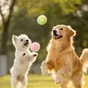 Pelota Juguete para Perros Gadget de Autoentretenimiento para Aliviar el Aburrimiento para Mascotas como Border Collies, Golden Retrievers, Corgis; Pelota Masticable Duradera para Limpieza Dental, Adecuada para Perros Pequeños y Grandes