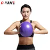 Mini Pelota de Pilates Frosted Antiexplosión Engrosada 25cm Pelota de Yoga Pelota de Entrenamiento de Fitness Yoga Pelota para Glúteos Belleza