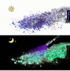 Polvo de Lentejuelas Luminosas con Brillo Transfronterizo 12 Colores Mezclados Polvo de Brillo Fluorescente Pegamento Flujo de Cáñamo DIY Lentejuelas Luminosas para Uñas