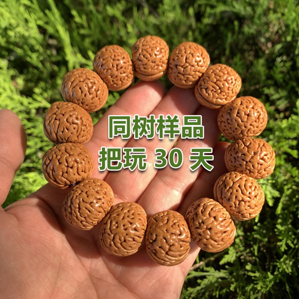 AFB259A820A01F5C5EC5A079629623