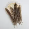 Venda Direta de Fábrica de Quase 100 Tipos de Acessórios Naturais de Penas Pequenas para Joias DIY, Acessórios de Cabeça, Broches, Chapéus, Materiais de Decoração para Artesanato