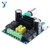 Placa Amplificadora Digital TPA3116D2 Canal Duplo 2x100W Alta Potência Módulo Amplificador de Áudio HIFI Alto-falante DIY