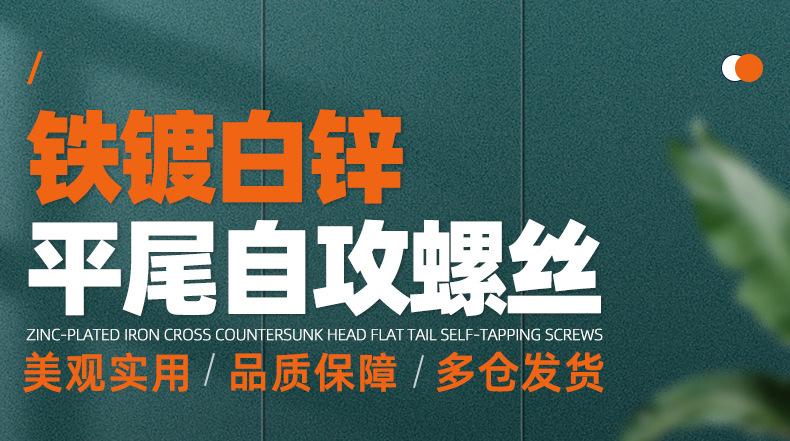 铁镀白锌十字沉头平尾自攻螺丝_01_01.jpg