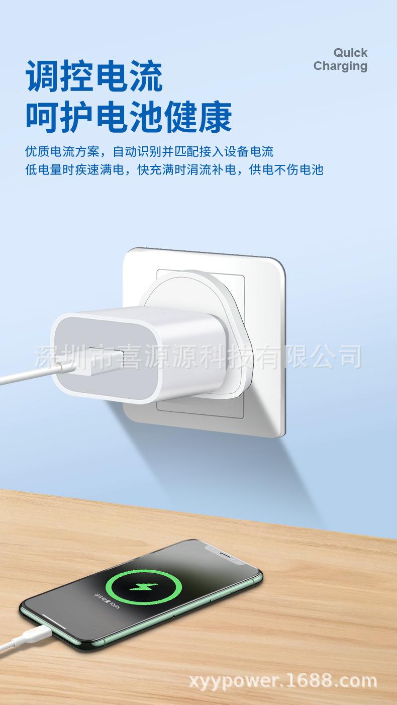 PD20W可换头