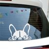 Produção de Carro de Série para Comércio Exterior Filme Refletivo Personalizado Material Adesivos Personalizados para Carro Carroceria Porta Traseira Adesivos para Carro Produção