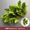 Verdor para Bodas Plantas Artificiales Arreglo Floral Gypsophila Eucalipto Estilo Natural Flores Artificiales Flores de Seda Decoración de Boda Materiales Florales