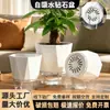 Vaso autoirrigável para preguiçosos, vaso de plástico com reservatório de água para uso doméstico, vaso hidropônico para plantas verdes e suculentas, vaso hidropônico respirável, personalizável