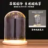 Cubierta Especial de Vidrio para Exhibición de Coronas de Flores, Vitrina Transparente a Prueba de Polvo, Base con Luz de Ranura Luminosa, Modelo DIY para Figuras de Pinduokou