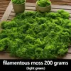 Ornatos de Arranjo de Micro-Paisagem Biomiméticos, Musgo Artificial Decorativo, Bonsai Artificial, Grama de Musgo Falsa, Gramado para Paisagismo