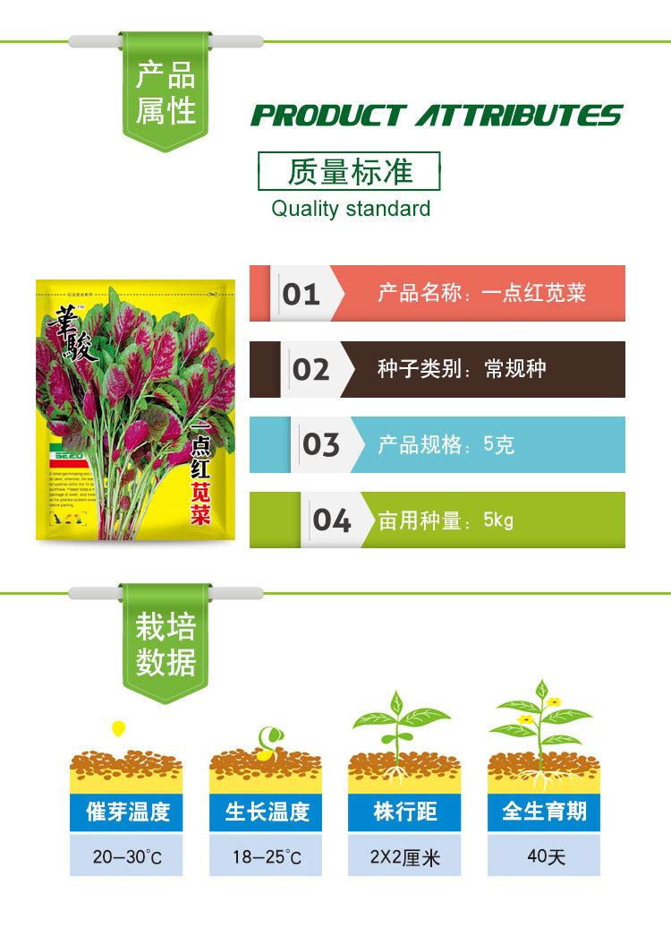 一点红苋菜-1