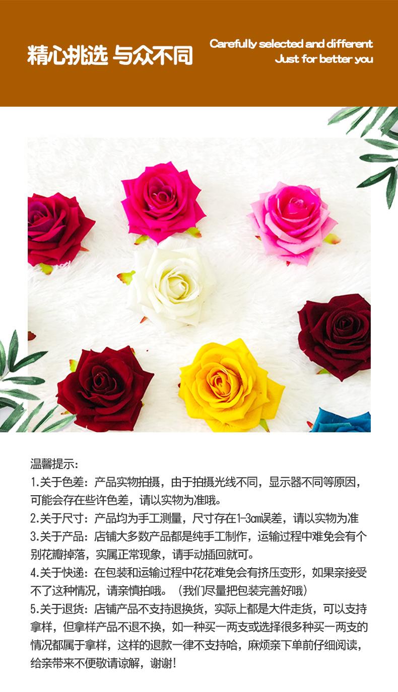 角玫瑰_10