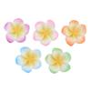Impressão em duas cores sola grossa frangipani fazendo DIY capa de celular gel creme decoração de corda de grampo de cabelo fivela de sapatos com furo