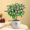 Planta en Maceta Daphne de Phnom Penh, Plántula de Semillero de Pila Vieja de Aroma Fuerte con Capullos, Planta de Flor para Balcón Resistente al Frío, Flor de Interior, Flor de Nochevieja