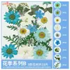 Paquete de Materiales DIY de Flores Secas Flores Prensadas Hechas a Mano Flores Conservadas Marcadores de Libros de Flores Prensadas Hojas de Árbol Real Plantas Pegatinas de Resina Maquillaje Facial