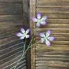 Colección de flores artificiales moradas, flores falsas para bodas, Jardín Monet al aire libre, Phalaenopsis, orquídeas Phalaenopsis, decoración, venta al por mayor transfronteriza