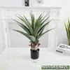 Simulação Planta Verde Bonsai Sisal Folha Grande Gladíolo Planta do Deserto Tropical Janela Paisagismo Decoração Planta Artificial Ponto