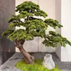 Grande Pinheiro de Boas-Vindas Pinheiro Arhat Exibição de Janela de Hotel Árvore de Pinheiro Falsa Novo Estilo Chinês Paisagem Interna Decoração Plantas Verdes