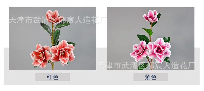 详情_03.jpg