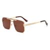 2317 Gafas de Sol Metálicas de Marco Grande de Doble Puente Gafas de Sol Comercio Electrónico Transfronterizo Exportación Amazon Uv400 Tendencia de Moda