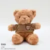 Conjunto Pensado de Três Baldes de Abraço, Baldes de Flores, Buquês de Flores, Caixas de Embalagem de Balões de Aniversário, Materiais para Balde de Presente Floral de Urso