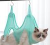 Gato Tijeras de Uñas de Agujero Redondo Tijeras para Ciegos Principiante Línea de Sangre Antiarañazos y Antimordida Gatito Suministros para Mascotas