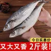 Cavala Seca 500g, Peixe Salgado Seco ao Ar Curado ao Sol, Peixe do Mar Levemente Seco, Peixe Grande Especial Sabor Ameixa, Peça Inteira