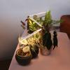 Luz de crescimento para plantas com feixe de luz Espectro Completo luz para suculentas de interior coloração fotossíntese doméstica fita de luz LED