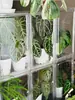 Caixa de Criação em Acrílico, Caixa Totalmente Transparente à Prova de Vento e Isolada, Caixa de Viveiro para Plantas Tropicais e Bonsai, Armário Doméstico para Aquecimento de Plantas