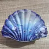 Nuevo Clip para el Cabello de Concha Creativo de Nicho Transfronterizo Pin Japonés Simple para la Parte Posterior de la Cabeza Clip de Tiburón de Playa de Verano