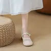 Zapatos Mary Jane de Estilo Francés con Aumento de Altura Interior para Mujer, Nuevo Modelo 2026, Diseño de Malla Hueca Transpirable, Versátiles con Faldas, Zapatos de Suela Suave