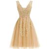 Elegante Vestido de Encaje Aliexpress Nuevo Vestido de Malla de Encaje Nicho de Gama Alta Mini Vestido Adelgazante con Escote en V