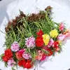 Plántulas de Girasol de Doble Pétalo en Maceta, Flores Grandes con Raíces y Capullos, Florecen en Todas las Estaciones, Plantas Fáciles de Cultivar para Interiores y Exteriores