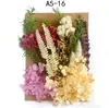 Bolsa de Materiales DIY Flor Seca Inmortal Tuanjian Marco de Fotos Pintura Tarjeta de Felicitación Tuanfan Ramo Pequeño Hecho a Mano Flor Real Bolsa de Flores en Relieve