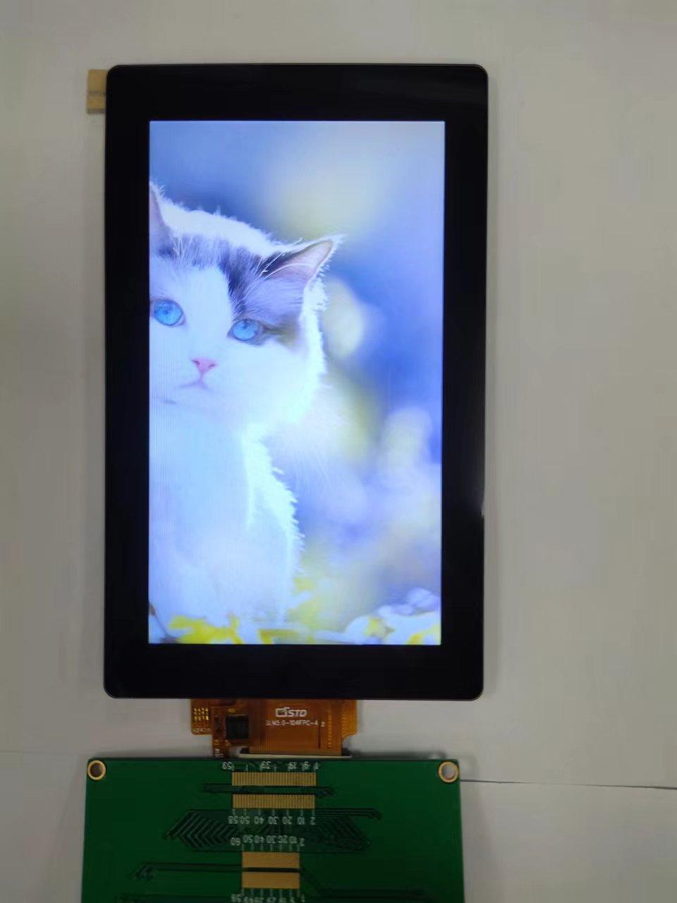 2f876b871a85179363ada453107aef