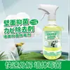 Removedor de mofo de parede, revestimento de parede, papel de parede, removedor de mofo de azulejo, removedor de manchas de mofo de parede, removedor em spray de mofo de madeira