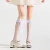 Novas Meias 3/4 de Verão Femininas Renda Vazada Meias de Cano Alto Cor Sólida Versátil Visual Slim Meias de Compressão Estilo Japonês Versátil