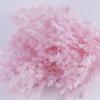 Yunnan Yongsheng penglaisong terminou buquê seco diy material casamento casa Ano Novo decoração garrafa arranjo de flores lote de fábrica