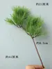 Pino Negro Falso, Pino Cola de Caballo, Abeto, Pino de Cinco Agujas, Arborvitae, Ramas de Pino, Acículas de Pino, Hojas Verdes de Tuya Atrezzo