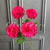 Flores Artificiales de 4 Cabezas, Flores de Seda de Loto, Flores Falsas para Bodas, Arreglos Florales para Paredes de Fondo Floral de Salón de Bodas, Venta al por Mayor Transfronteriza