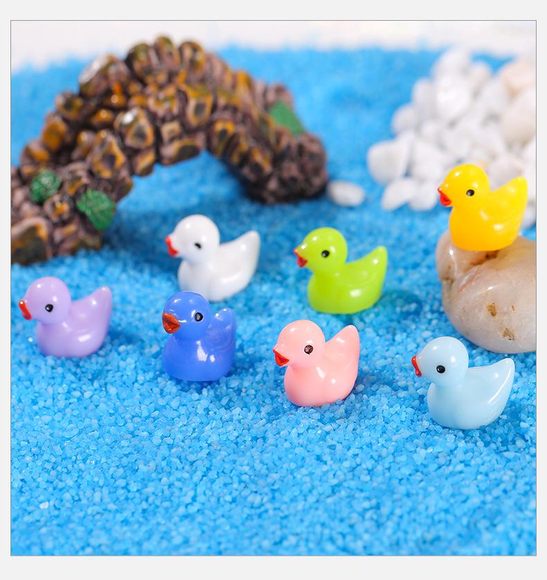 彩色小鸭_08